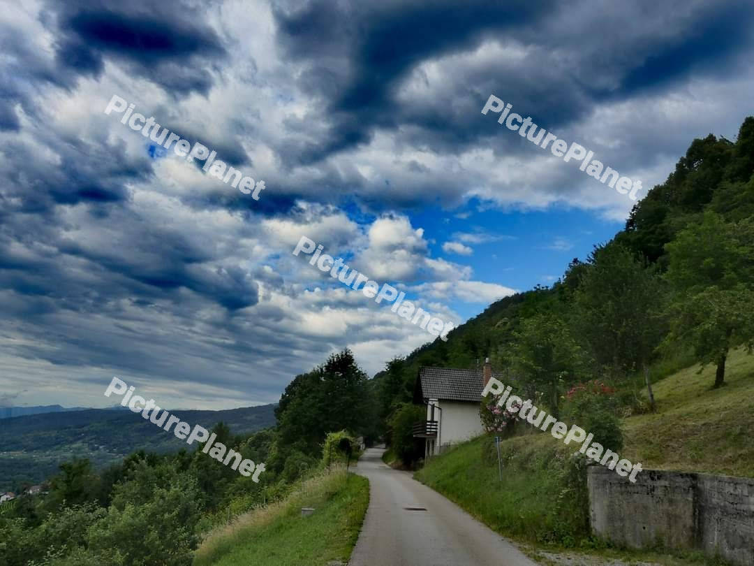 View of a house with greenery